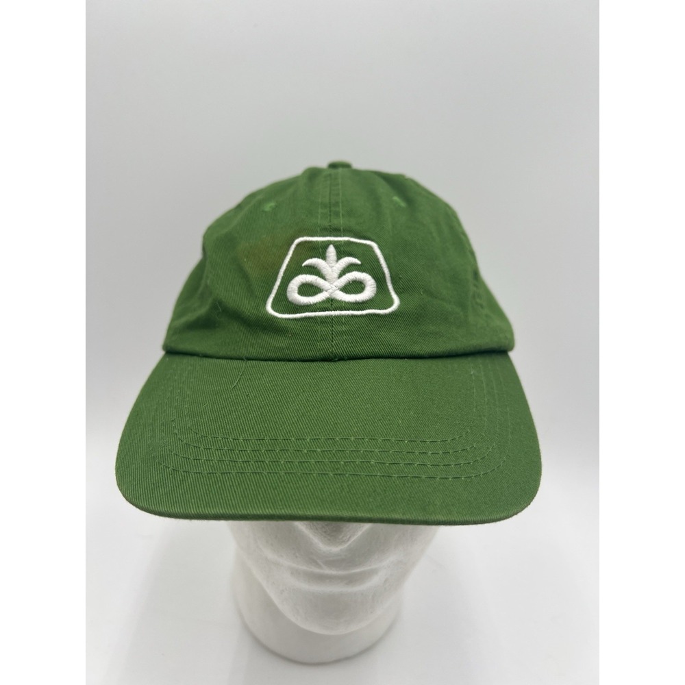 Vintage Pioneer Seed Green Adjustable Hat Embroidered Logo Cotton OSFA